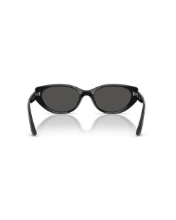 Ray-Ban RB 4457D 55 667787